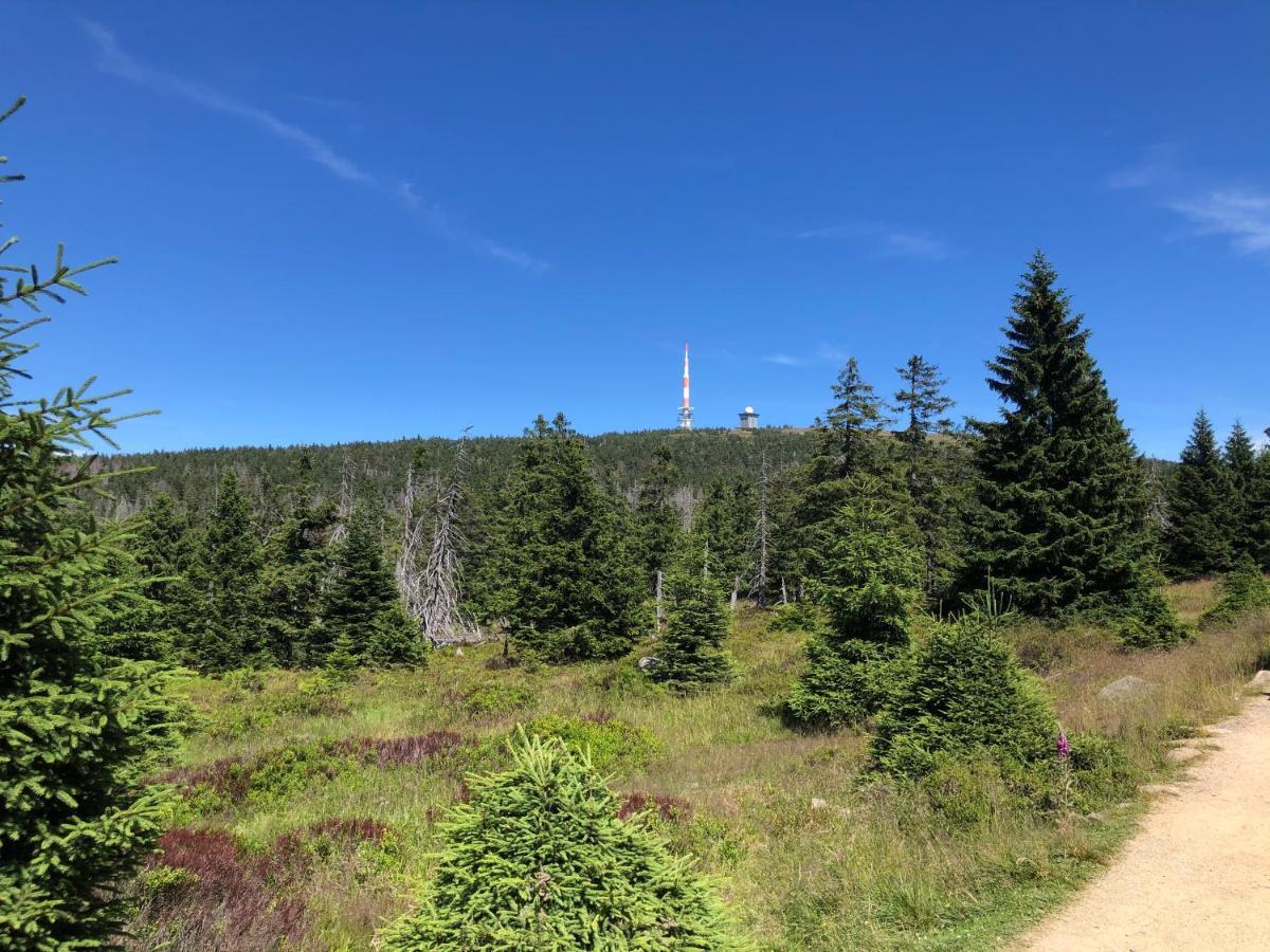 Am Muehlenberg Daire Altenau  Dış mekan fotoğraf