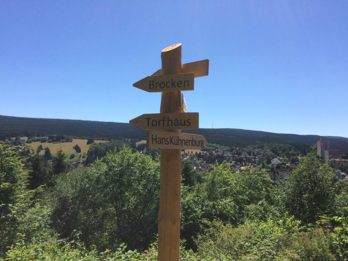 Am Muehlenberg Daire Altenau  Dış mekan fotoğraf